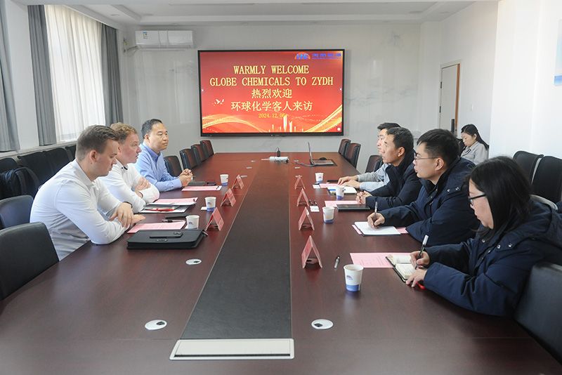 德国客人到访尊时凯龙Z6