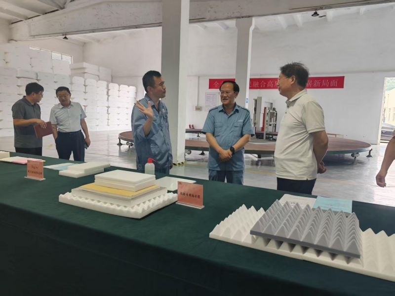 濮阳市副市长张宏调研绿宇公司